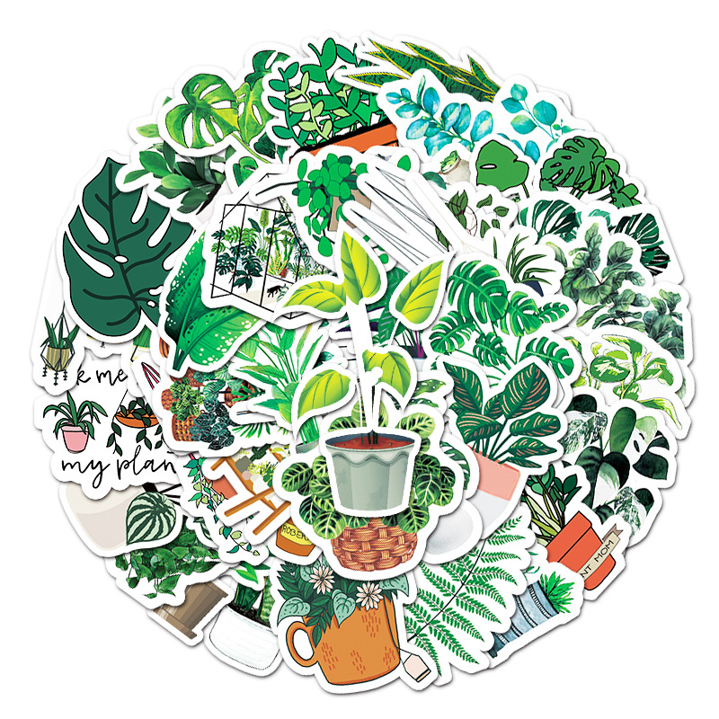 green plants 1