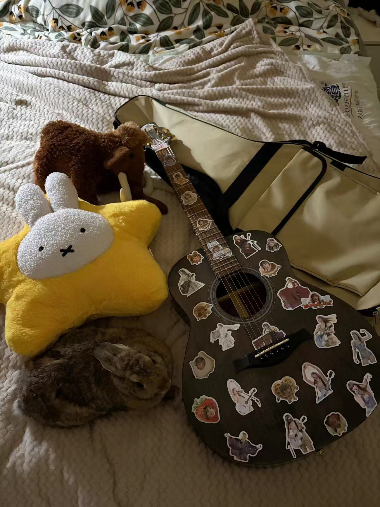 taylor swift stadium stickers 8